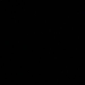 Meet your Posher, Brayden